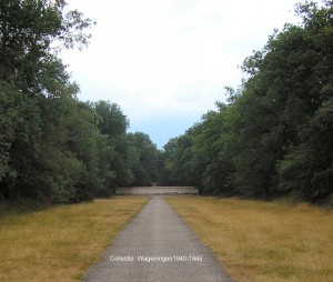 Vught fusilladeplaats en monument